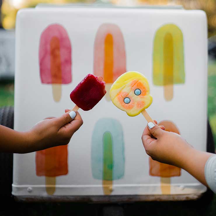 Delicious Novelty Ice Creams Mier's Ice Cream Boutique